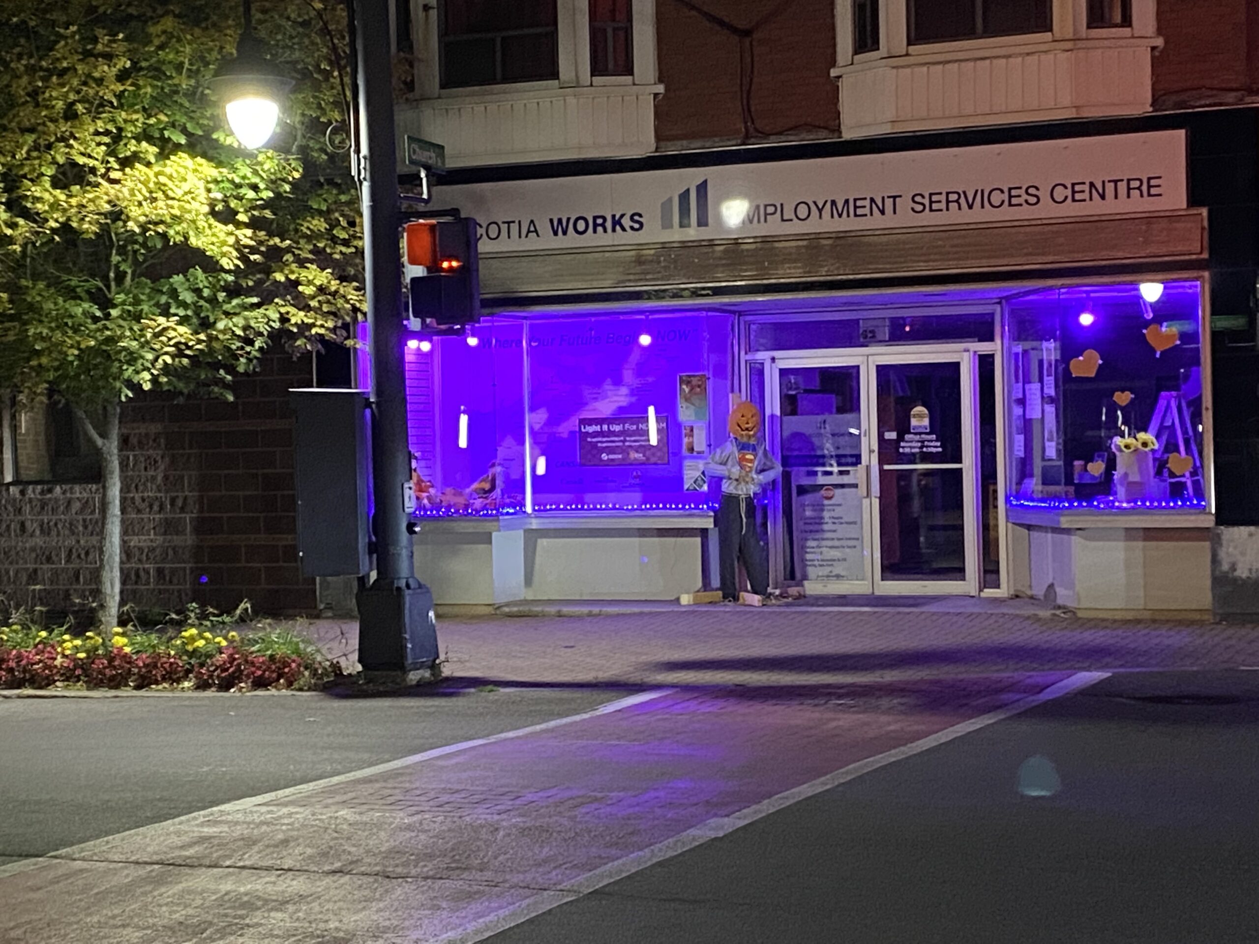 The interior window display areas of the Nova Scotia Works Employment Services Centre in Amherst, Nova Scotia, lit purple and blue.