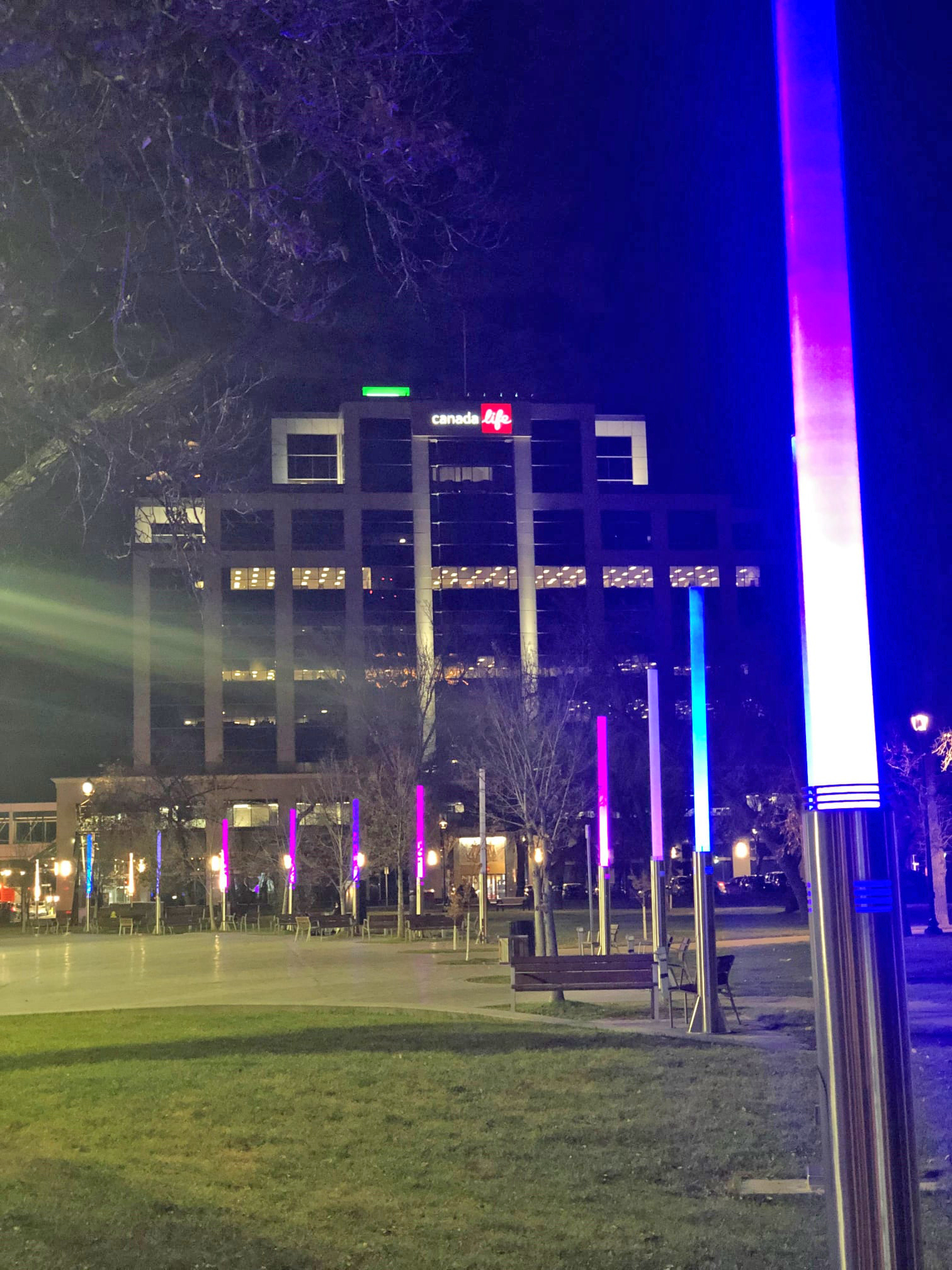 Lamp posts in Victoria Park, Regina, lit purple and blue.